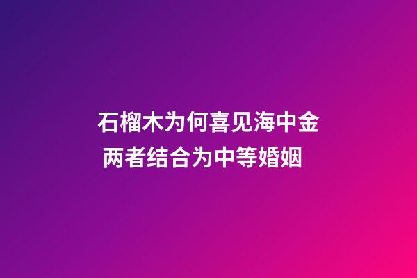 石榴木为何喜见海中金 两者结合为中等婚姻